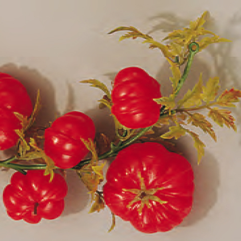 Guirlande Tomate - 2000 mm Guirlande Tomate - 2000 mm