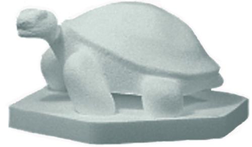 Tortue Tortue